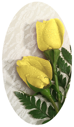 DNSBLUF 059 2 Roses Yellow